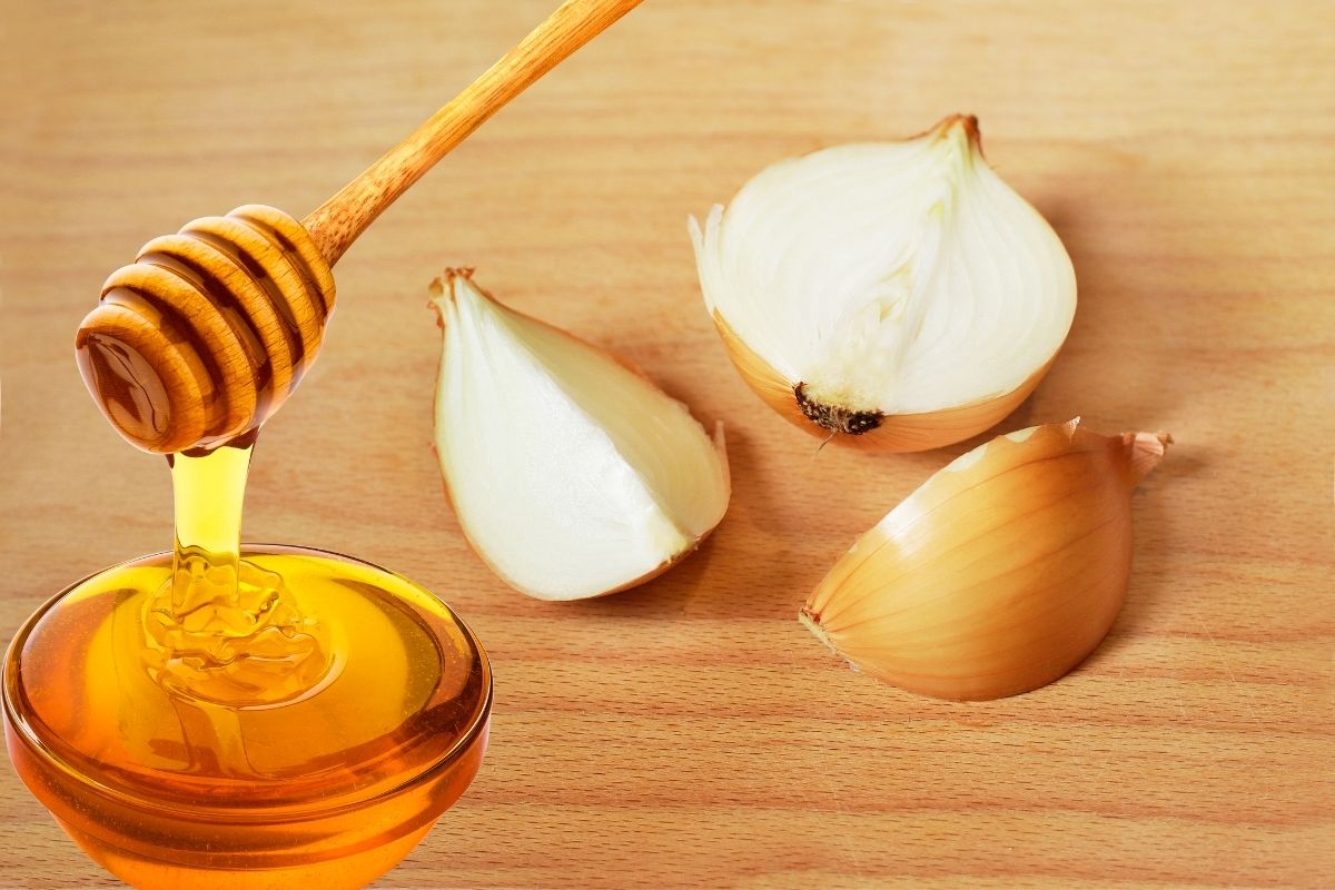Como fazer conserva de cebola com mel; conheça a receita e veja os benefícios dessa combinação (Reprodução Canva Pro)