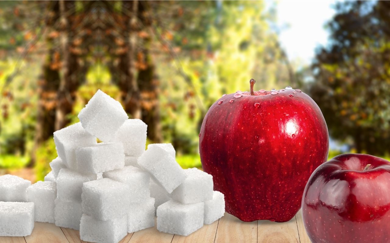 açúcar de maçã-Foto Canva Pro