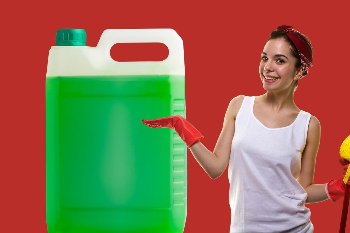 Como fazer desinfetante caseiro (Reprodução Canva Pro)