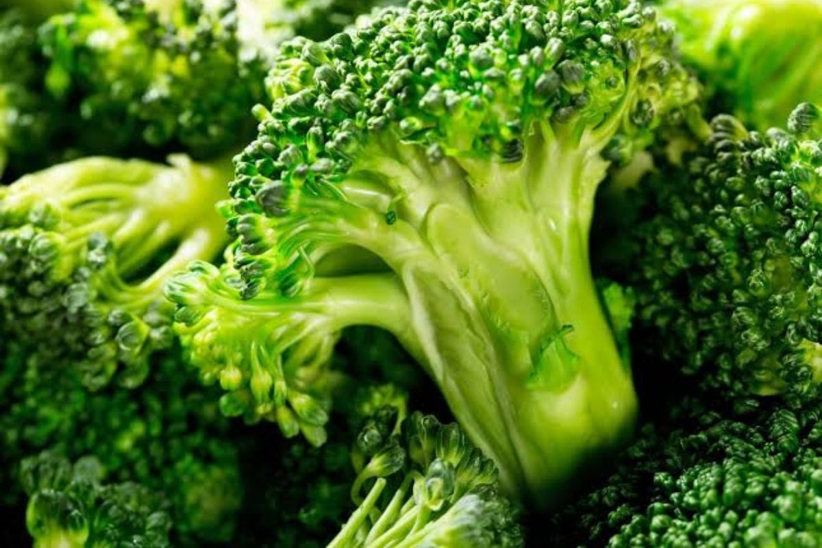 Benefícios do brócolis (Reprodução Canva Pro)