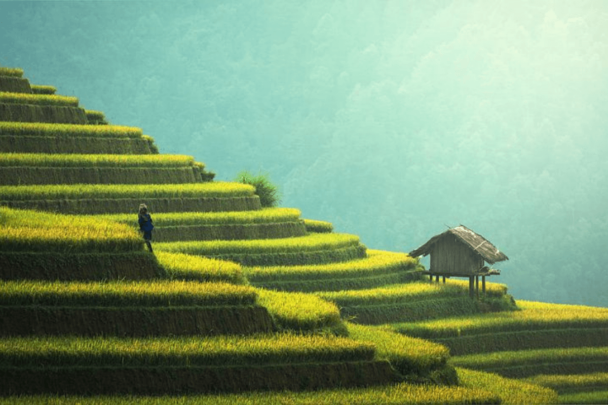 Agricultura de jardinagem, entenda o assunto e ganhe dinheiro (Reprodução: Pixabay)