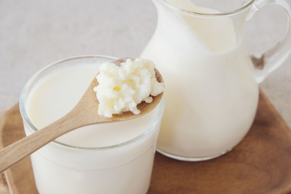 Como cultivar kefir de leite em casa veja como é fácil e prático (Reprodução Canva Pro)