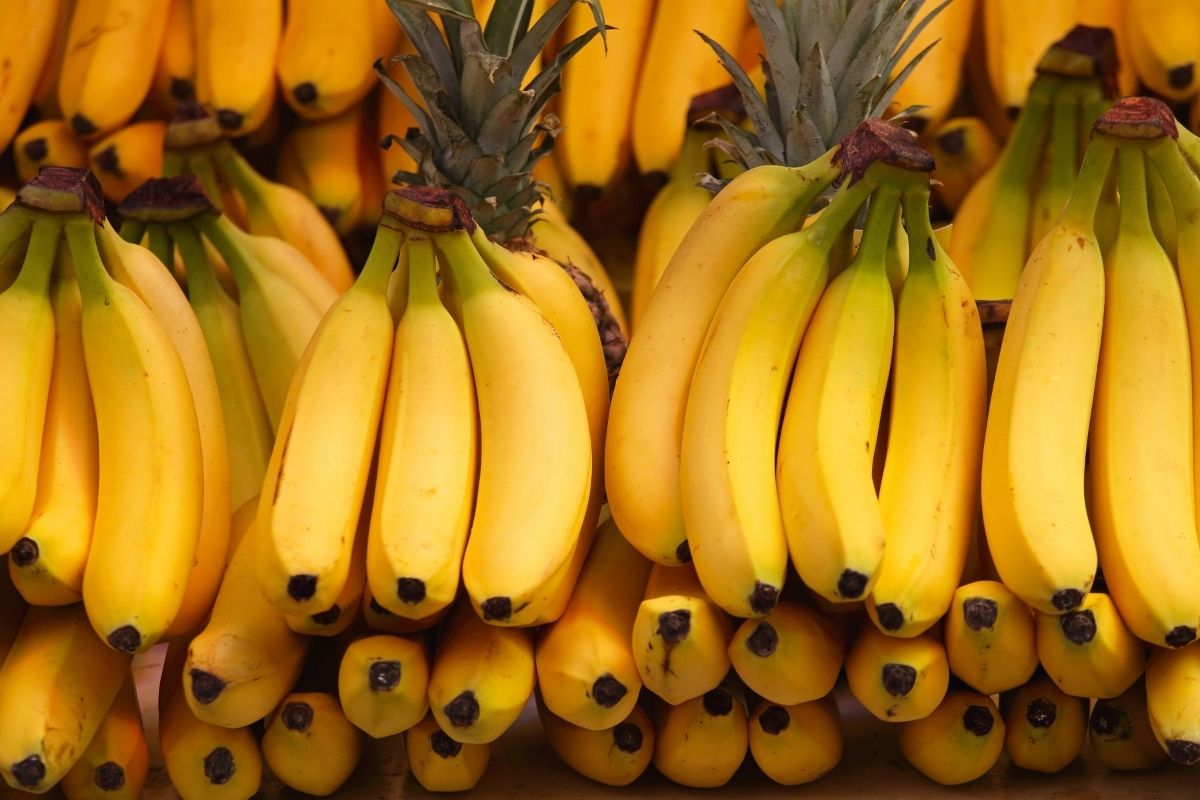 Como conservar banana madura para não estragar (Reprodução Canva Pro)