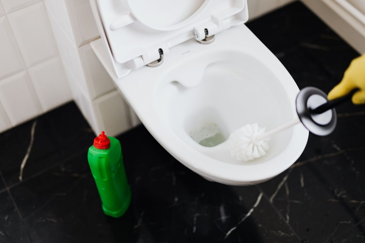 Como desencardir vaso sanitário - Reprodução Canva