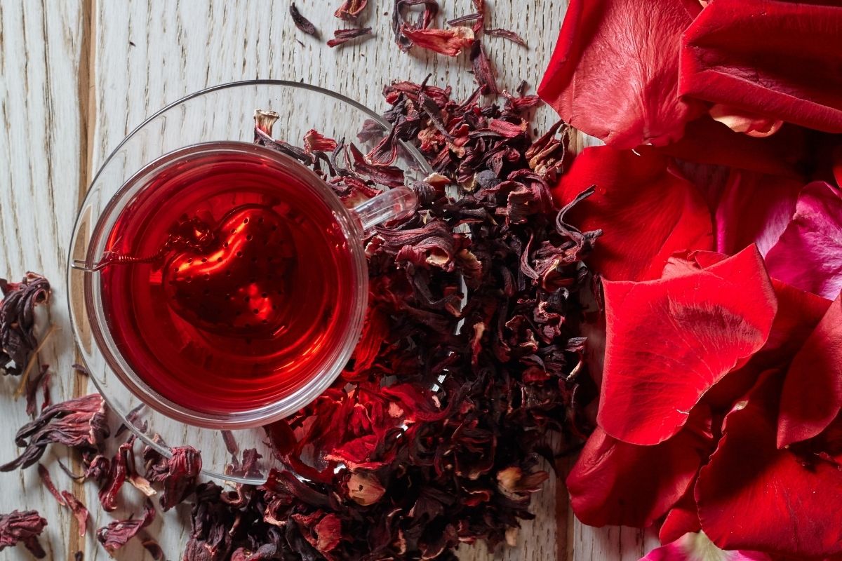 Confira os benefícios de consumir chá de hibisco frequentemente aprenda a prepara essa bebida em casa ( Reprodução Canva Pro)