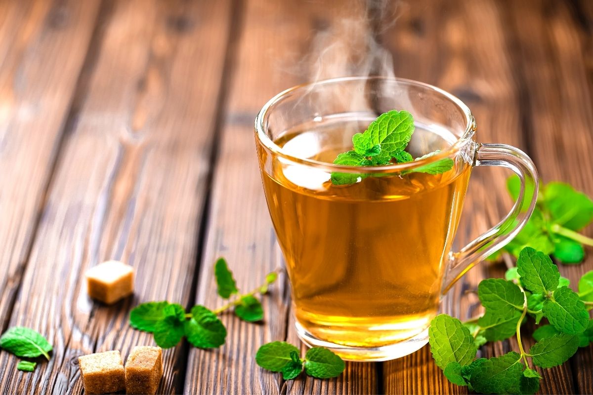 Confira os benefícios de consumir chá de hortelã frequentemente aprenda a cultivar essa erva no quintal de casa (Reprodução Canva Pro)