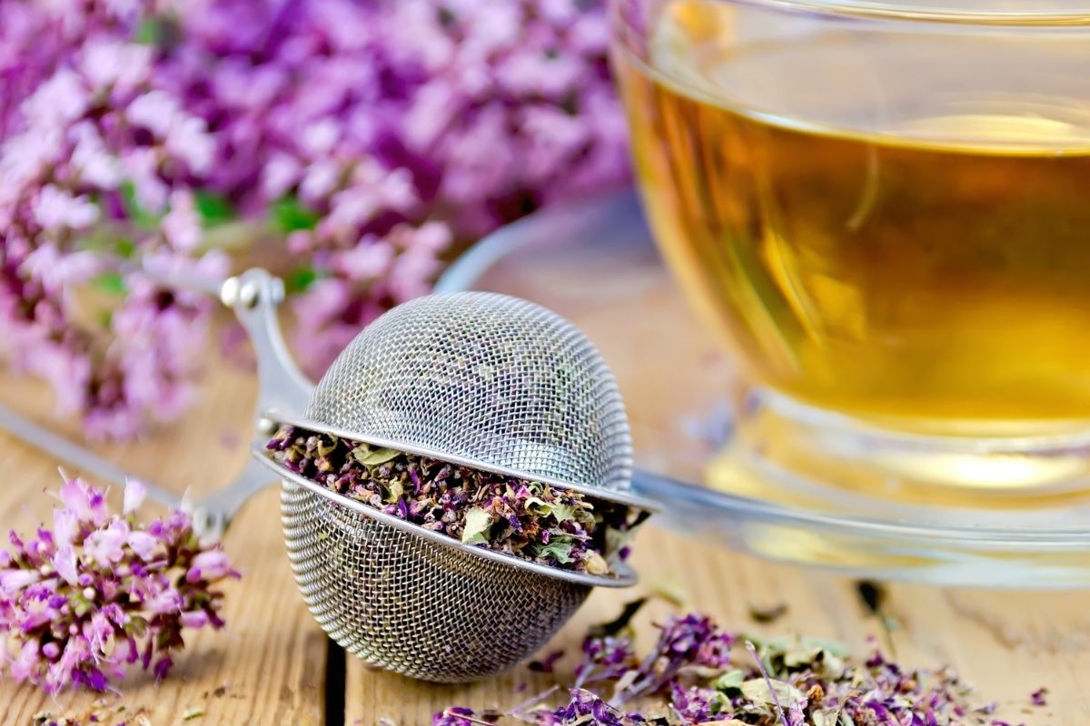 Conheça os benefícios incríveis do chá de orégano aprenda a fazer essa bebida e usufrua do poder de cura natural (Reprodução Canva Pro)
