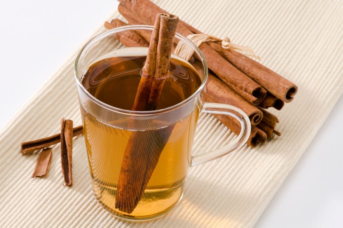O chá de canela é o remédio natural para combater o envelhecimento precoce; veja alguns dos seus benefícios e aprenda fazer em casa (Reprodução Canva Pro)