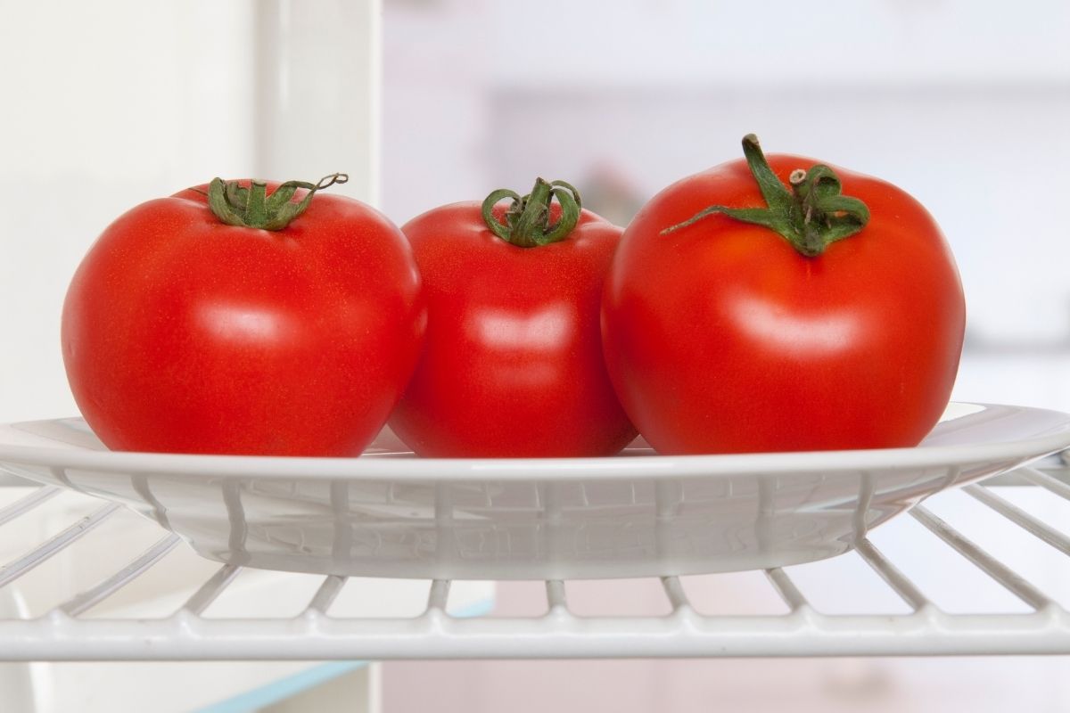 Por que não guardar tomate na geladeira Veja essas dicas para conservar por mais tempo seu fruto (Reprodução Canva Pro)