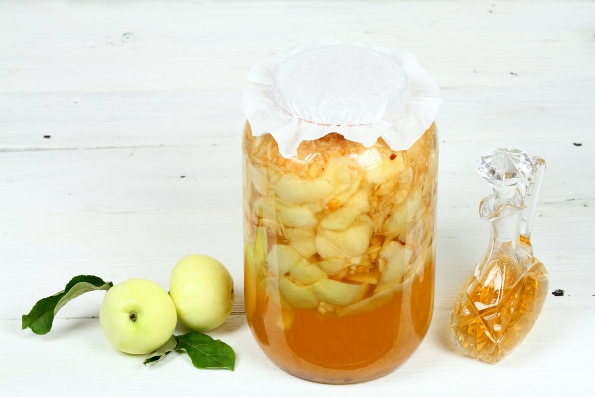 Vinagre de maçã natural veja como é fácil e simples fazer em casa (Reprodução Canva Pro)