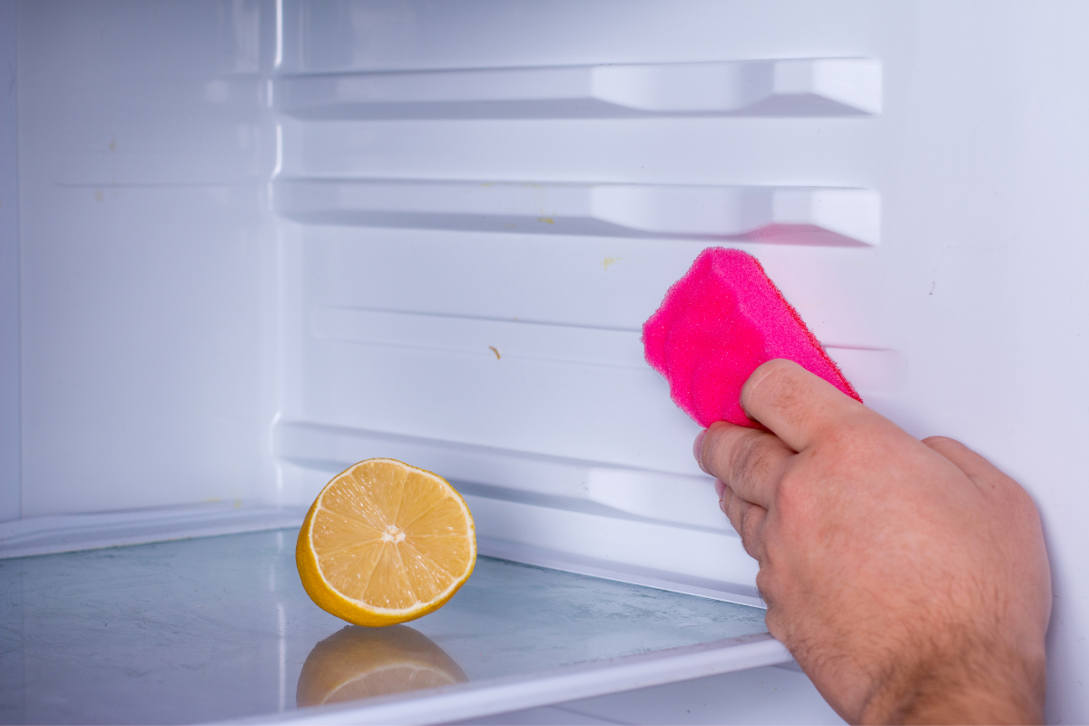 Что положить в холодильник от запаха. Уборка холодильника. Для устранения запаха в холодильнике. Запах в холодильнике. Лимон в холодильнике.