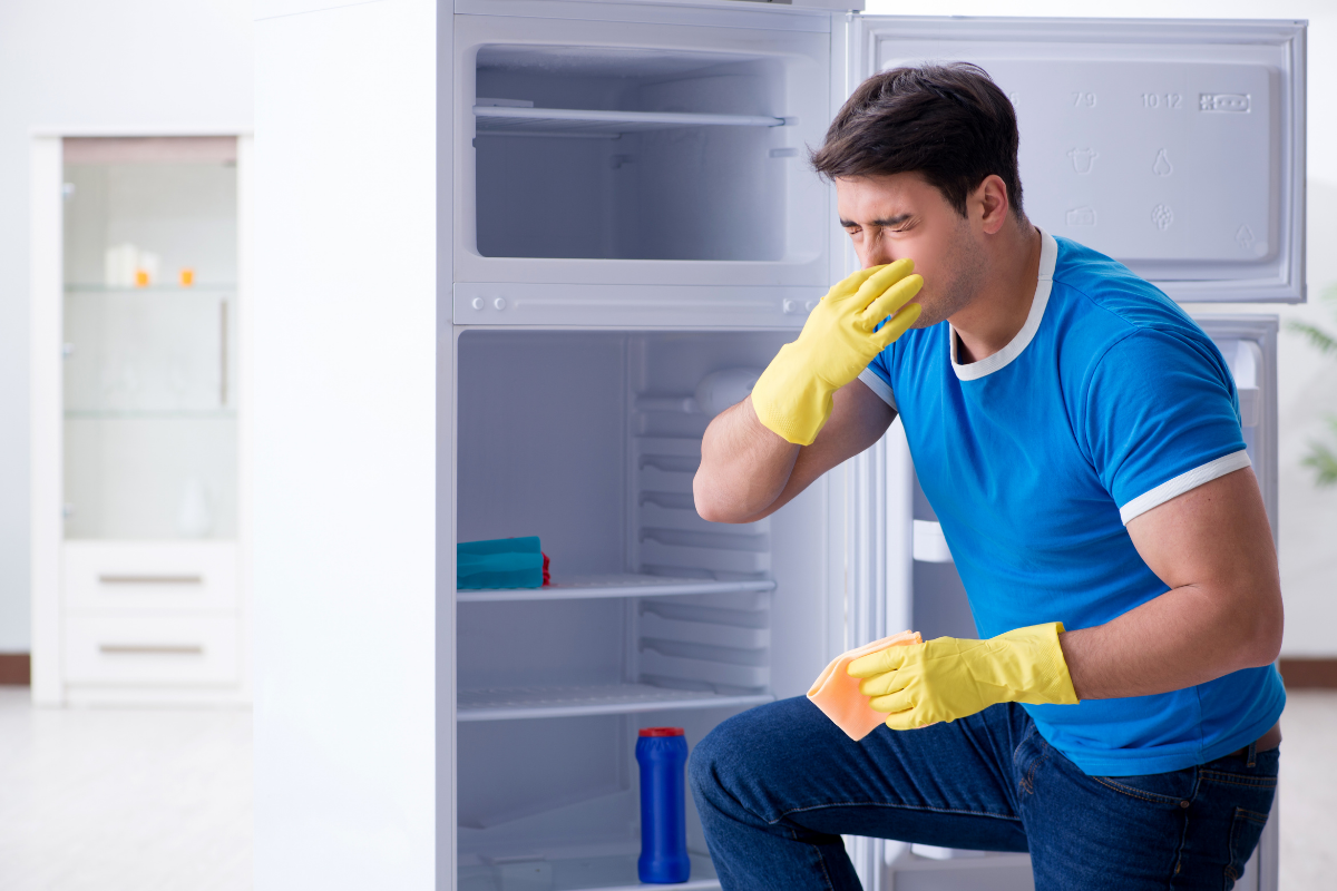Aprenda como tirar cheiro ruim da geladeira faxineira me contou o segredo que todos querem saber (Reprodução Canva Pro)
