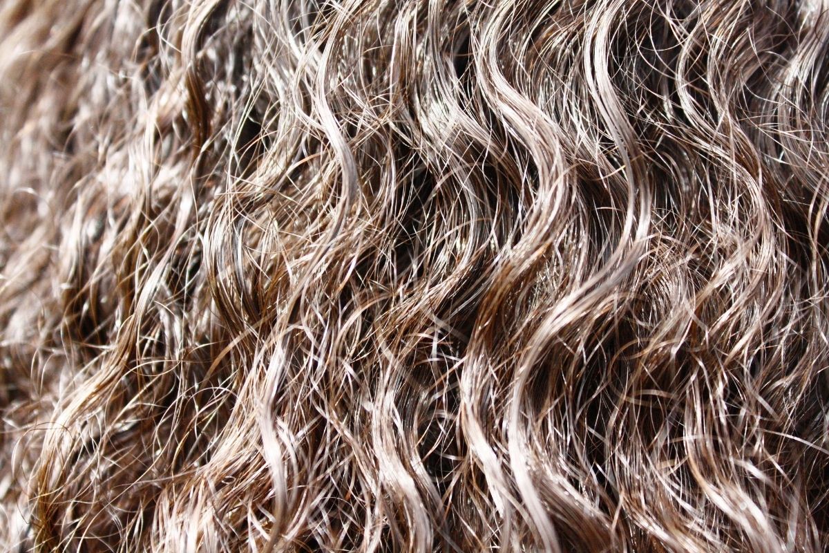 Como acabar com o frizz do cabelo - Reprodução Canva
