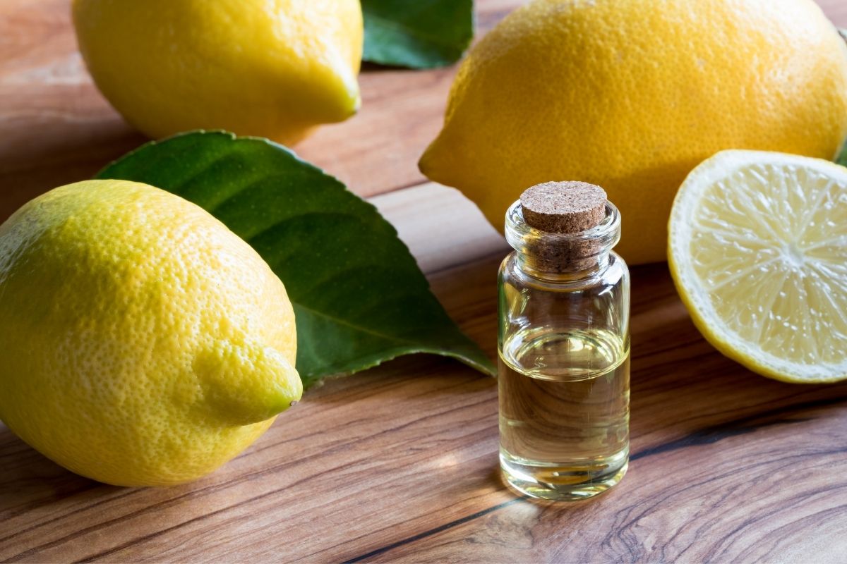 Azeite com limão tem poderosos benefícios saiba quais são, como preparar e usar (Reprodução Canva Pro)