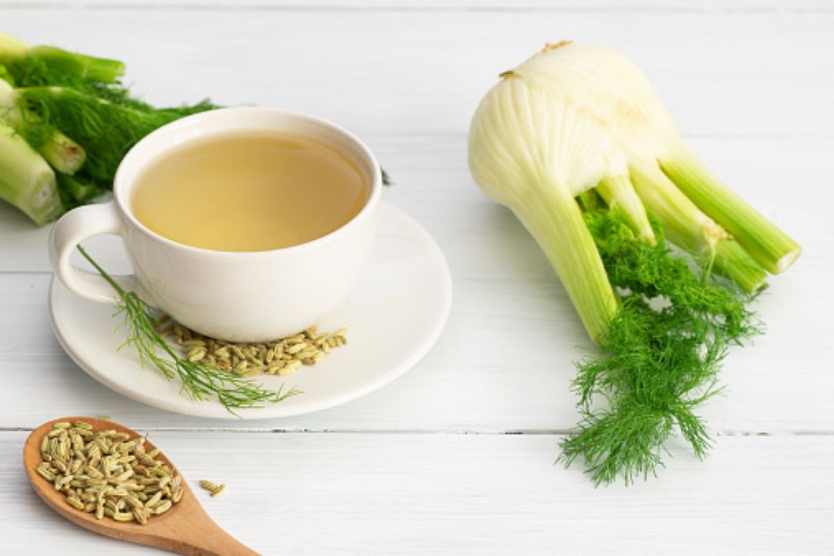 Chá de erva-doce desincha a barriga; veja como preparar essa bebida e não sofra mais com o inchaço (Reprodução Pixabay)