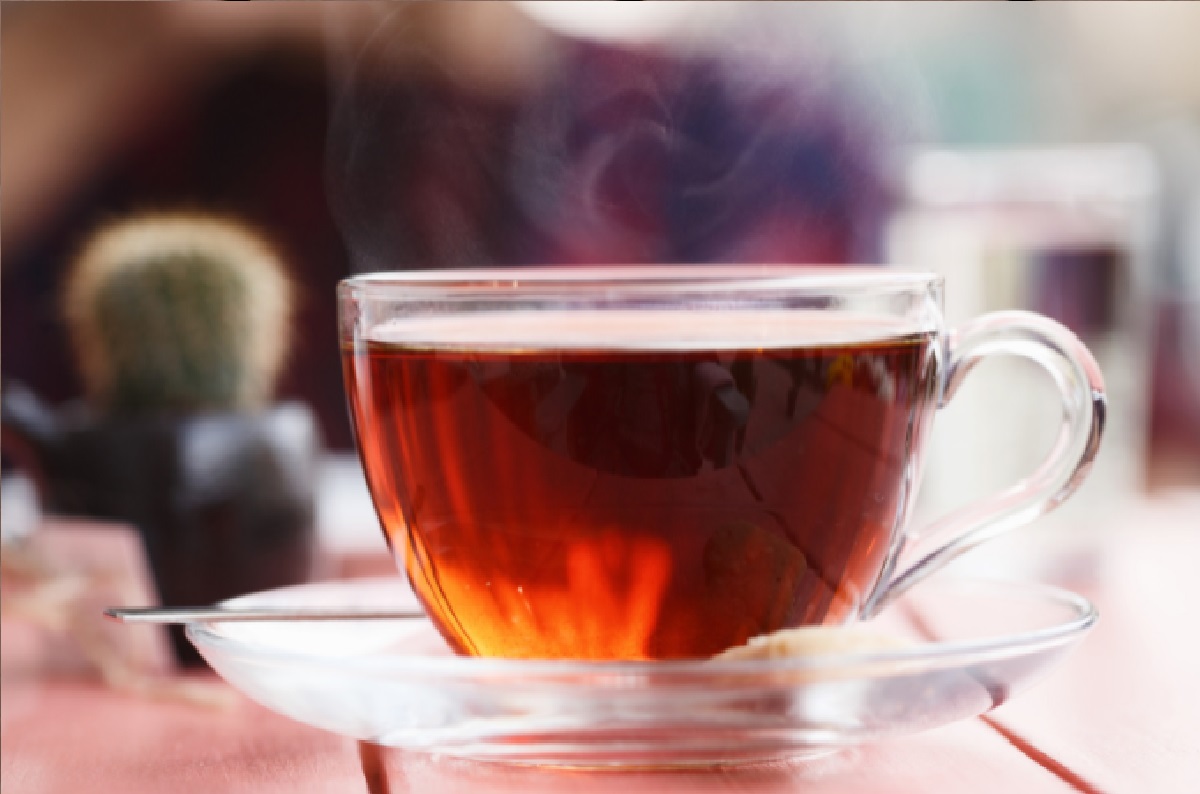 Chá de espinheira-santa - Reprodução Canva