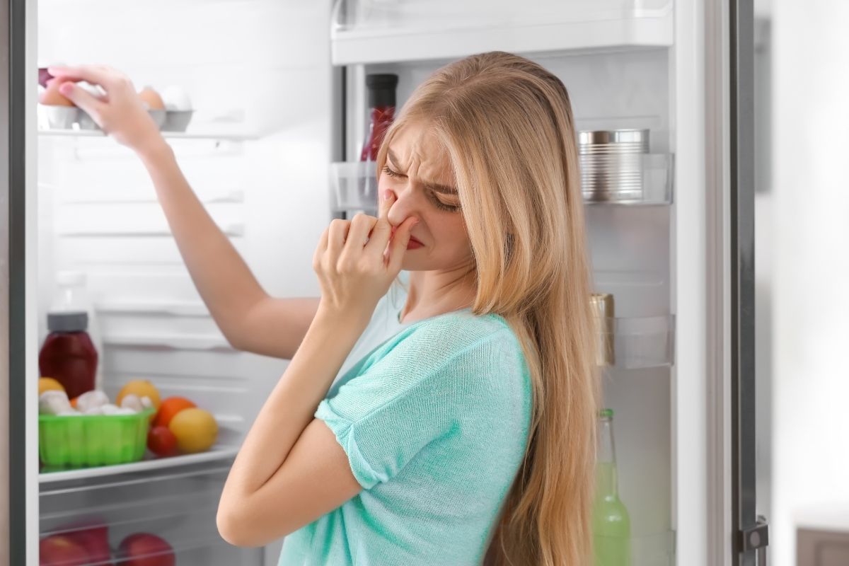 Como tirar mau cheiro da geladeira (Reprodução Canva Pro)
