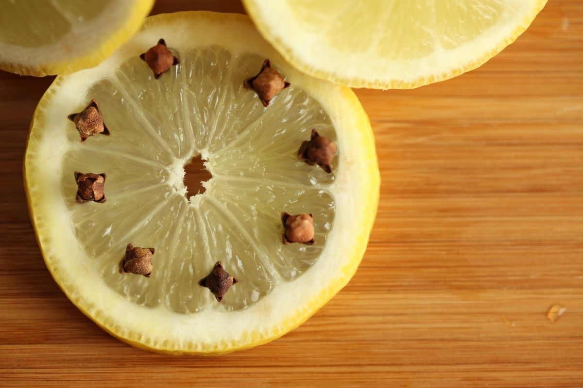 Truque caseiro de limão com cravo para espantar as moscas de casa rapidamente