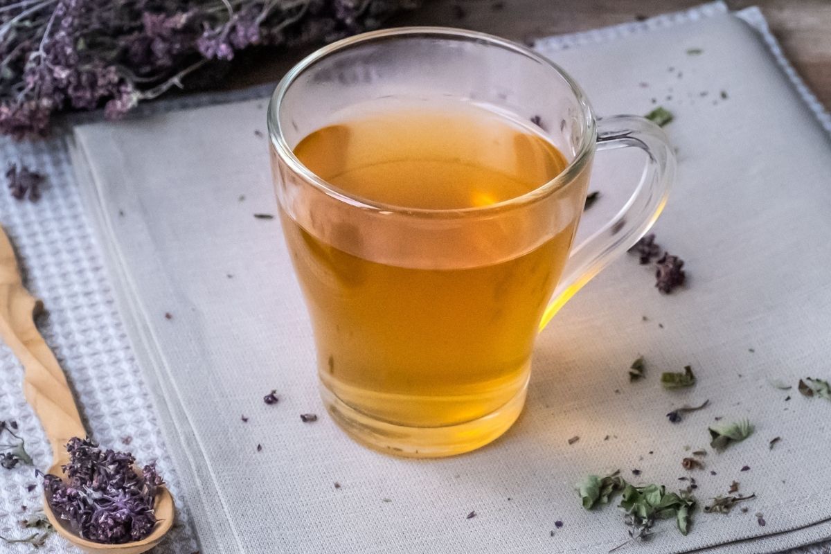 5 benefícios do chá de orégano