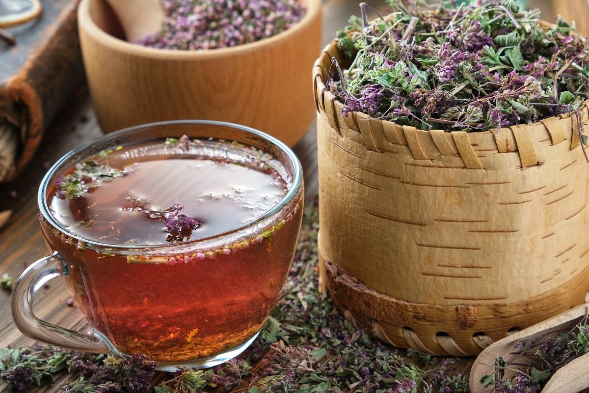5 benefícios do chá de orégano