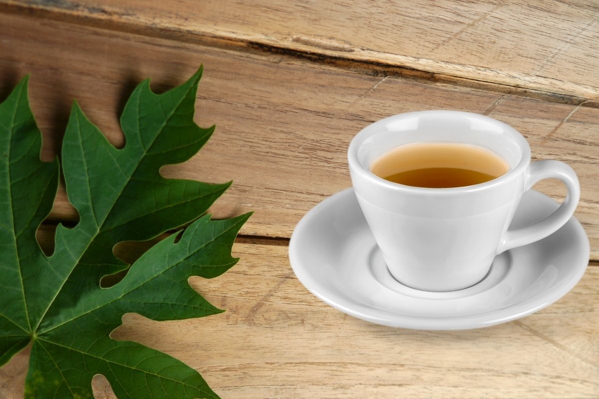 Chá de folha de mamão (Reprodução Canva Pro)