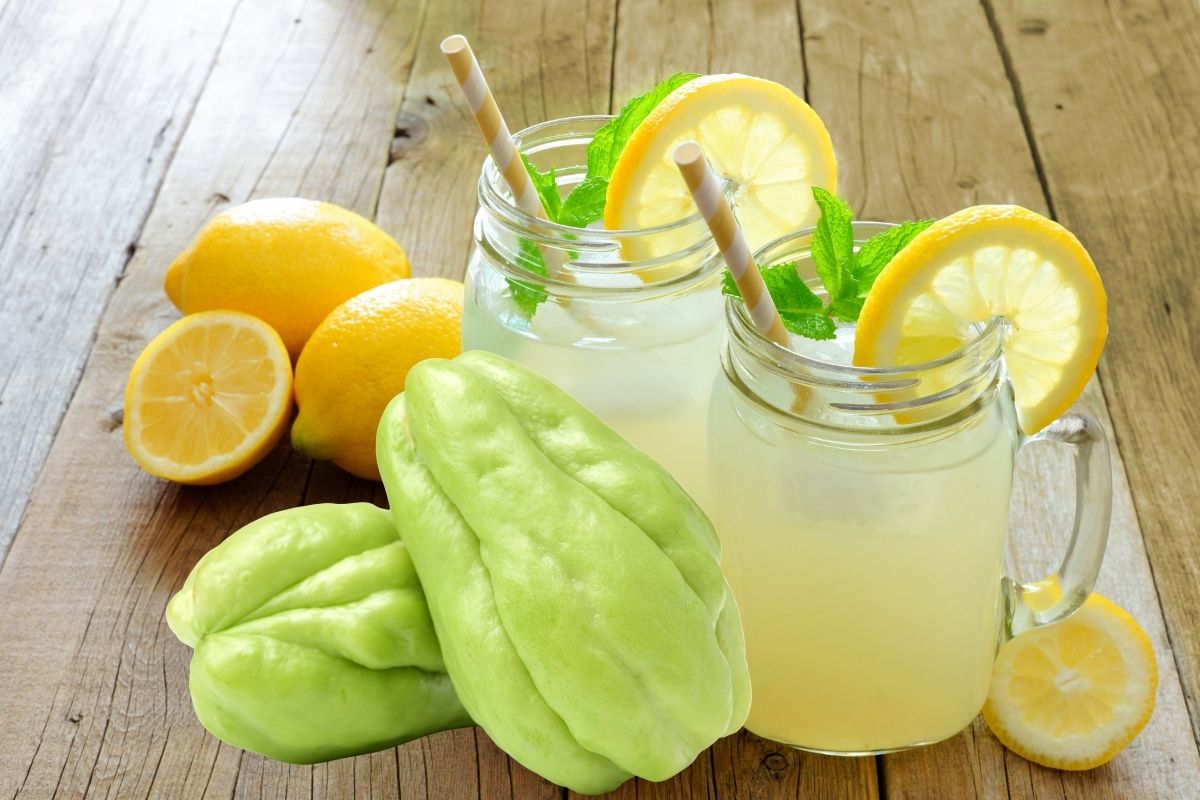 Suco de chuchu com limão (Reprodução Canva Pro)