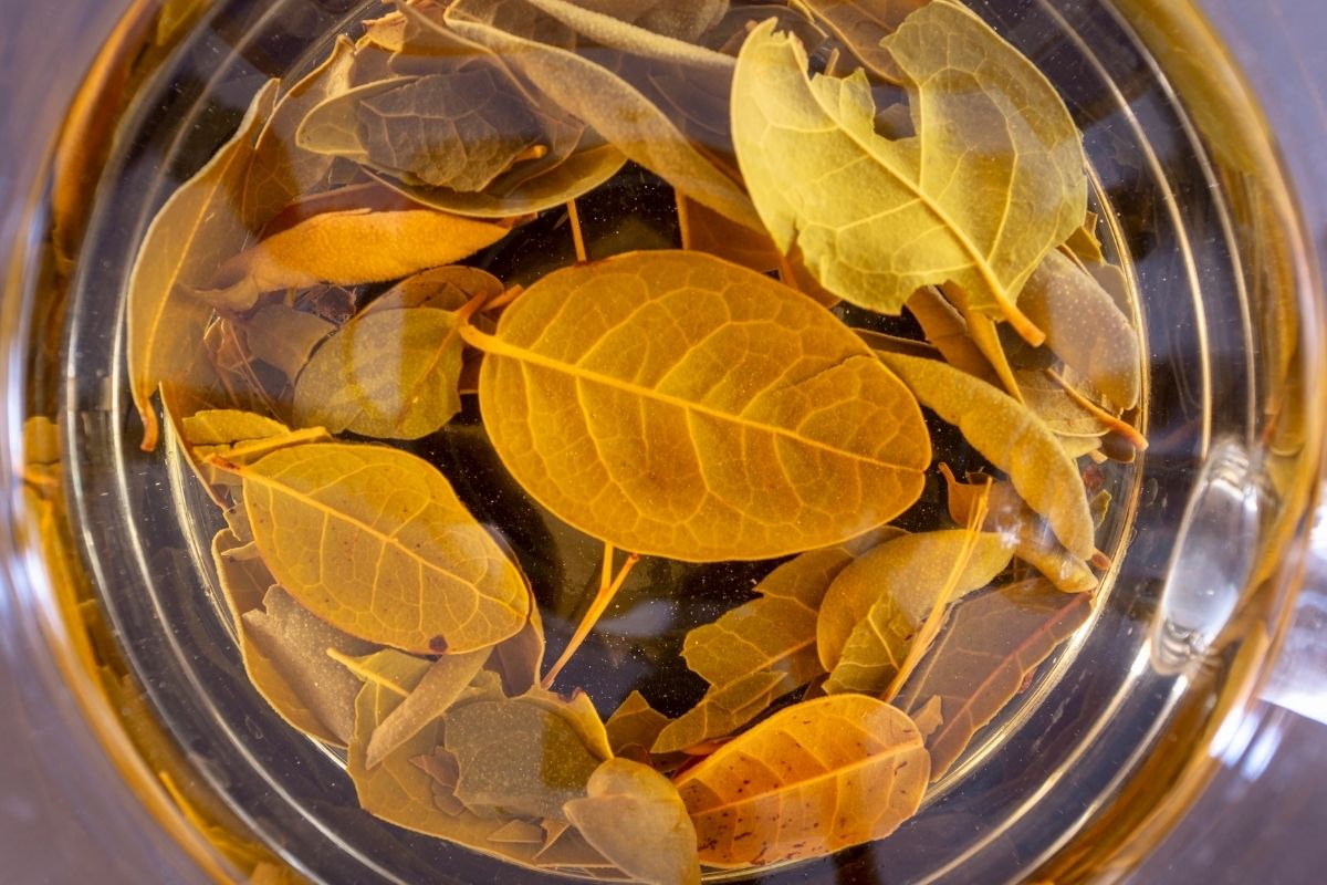 O melhor chá para limpar o fígado que existe: totalmente natural e fácil de preparar em casa