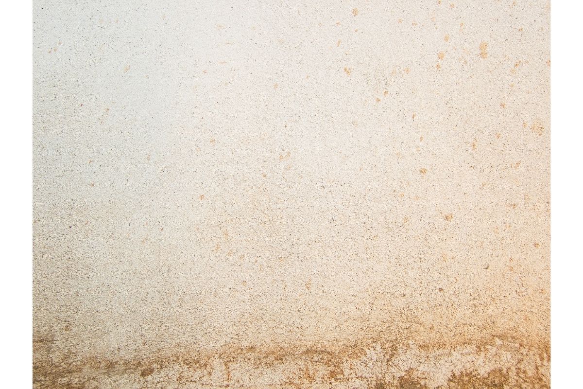 Como limpar parede branca, remova sujeiras e encardidos rapidamente (Foto: Canva Pro)