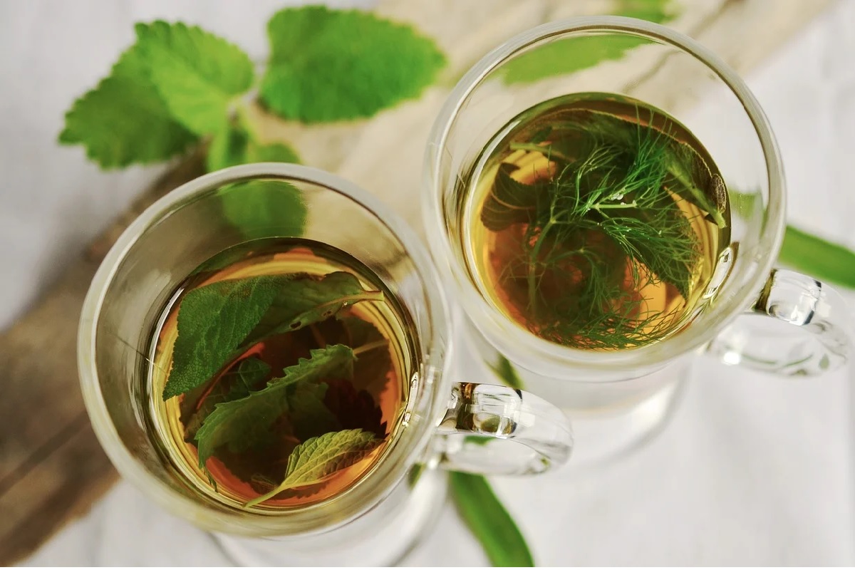 Chá de erva-doce - Reprodução: Pixabay
