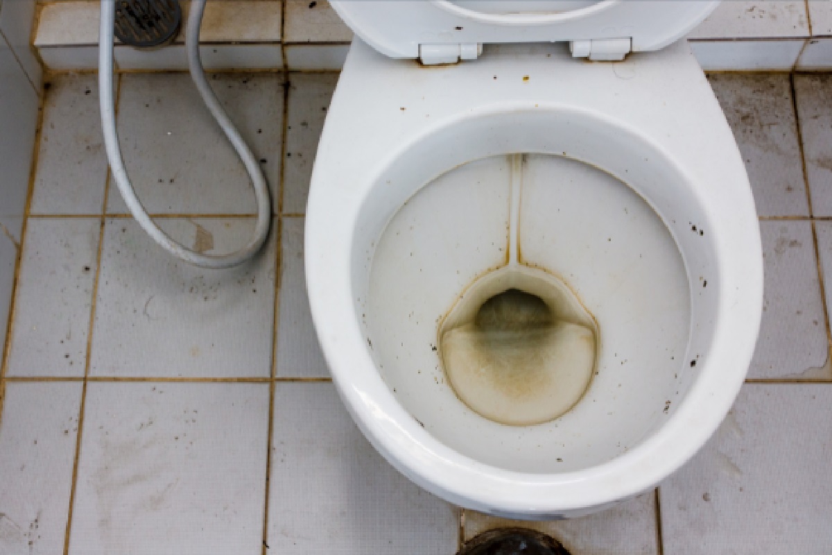 Como tirar calcário no vaso sanitário: aprenda como deixar seu banheiro impecável (Foto: Canva Pro)