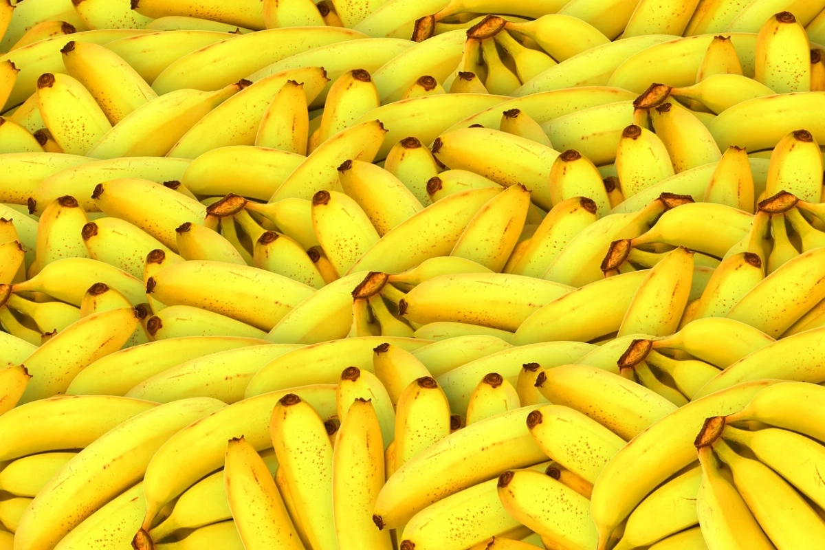Conservar banana madura -Reprodução: Pixabay