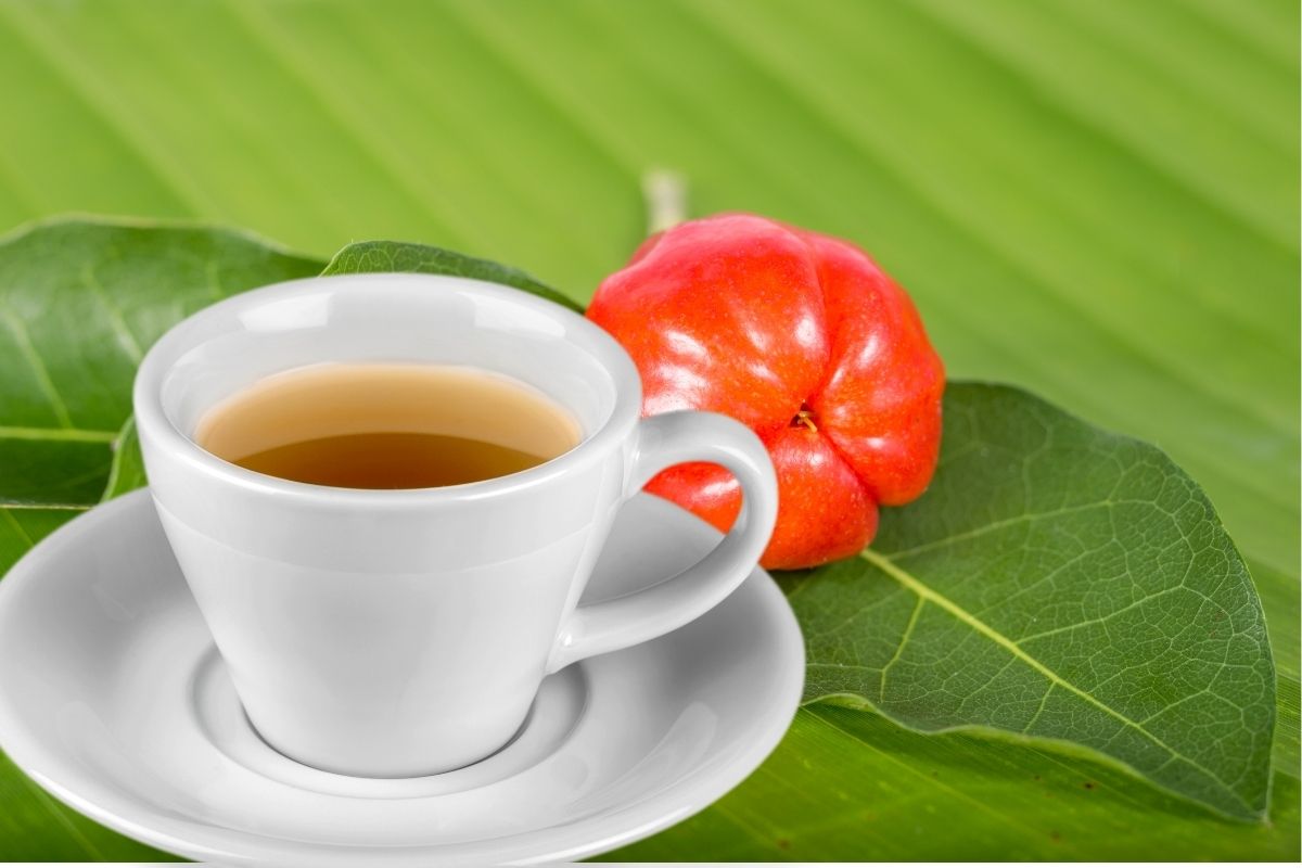 Veja os benefícios do chá de folha de acerola