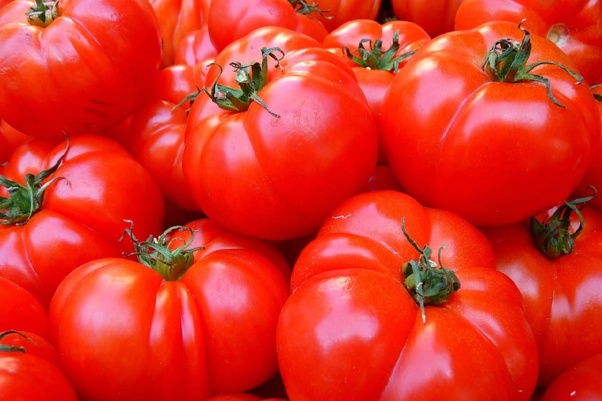 Por que não pode guardar tomate na geladeira - Reprodução: Pixabay