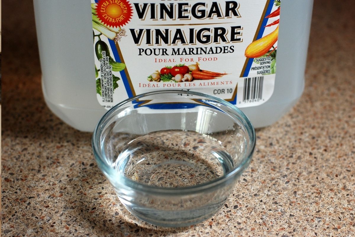 vinagre e detergente para eliminar pernilongo-Reprodução Canva
