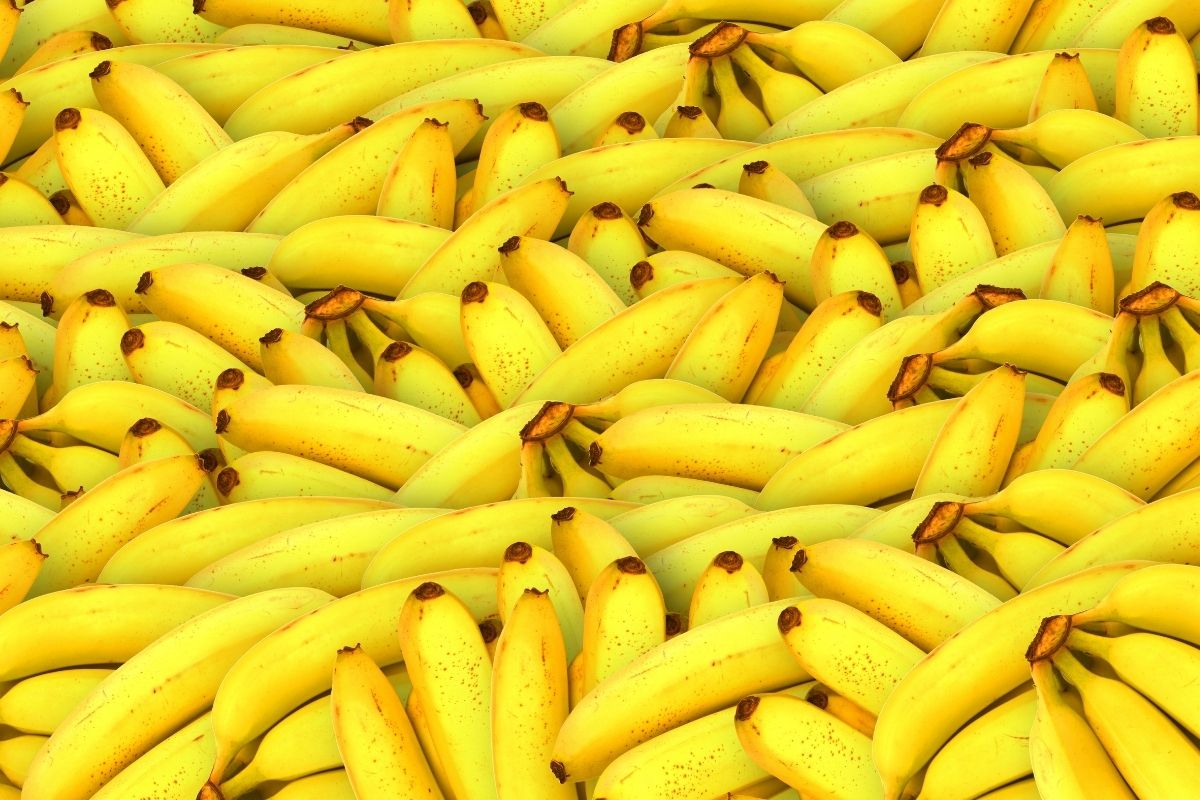 Como guardar banana na geladeira - Reprodução Canva