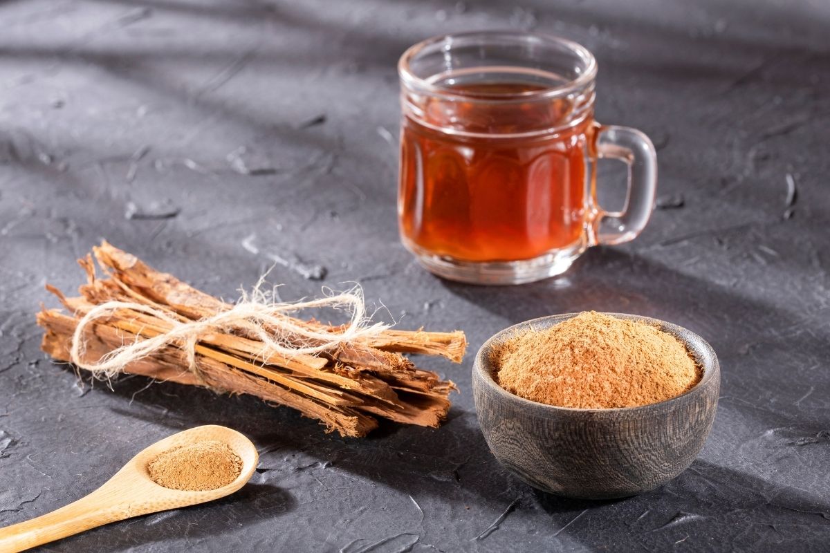 Cat's Claw Tea: Know the benefits and harms (Canva Pro reproduction) 