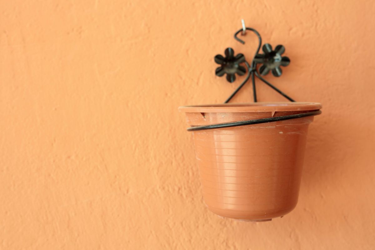 Floreira suspensa de plástico; ideia que otimiza espaço, veja como fazer - Fonte: canva