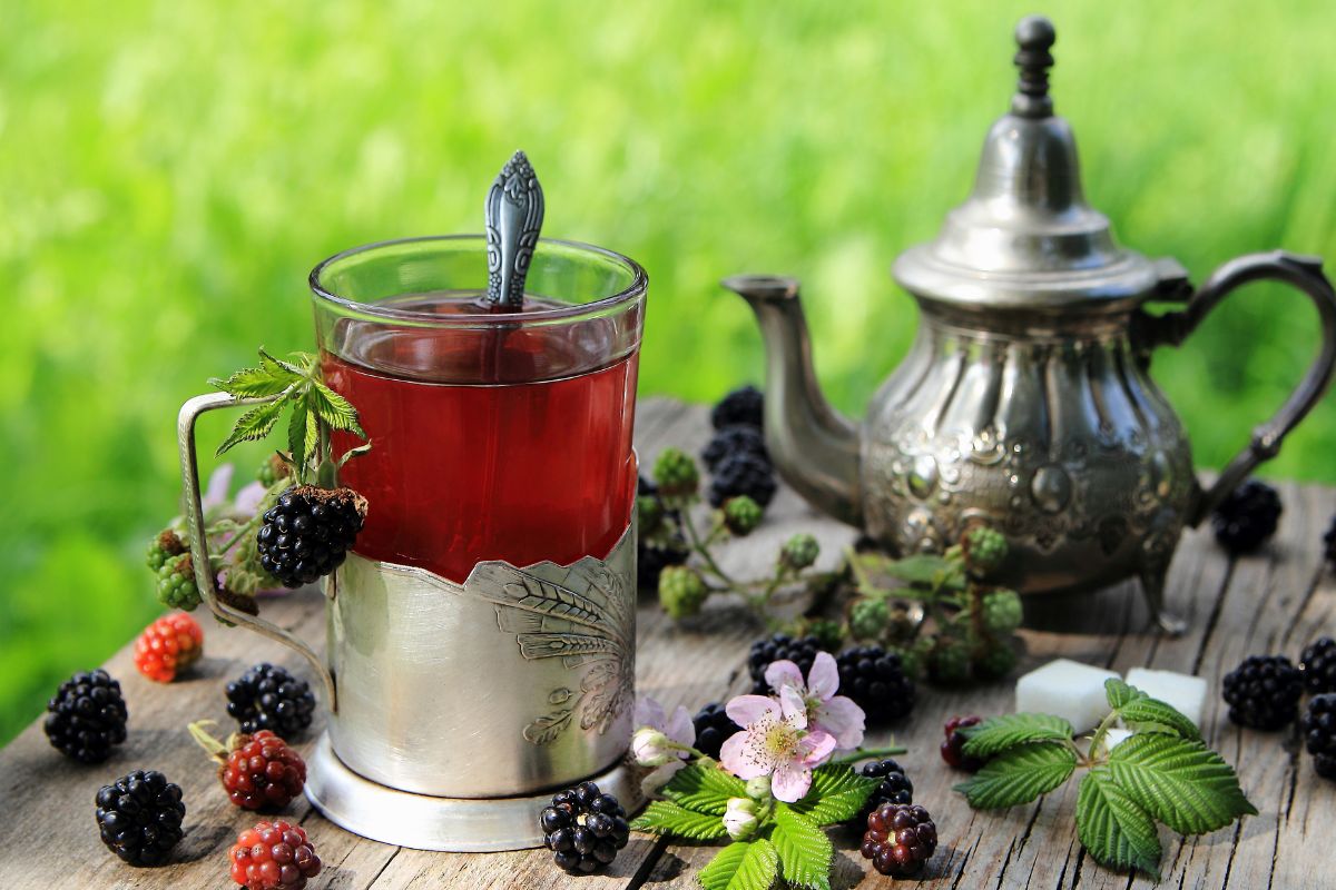 Verdades e mitos sobre o chá de amora; conheça os reais benefícios e como fazer a bebida/ Imagem: Canva
