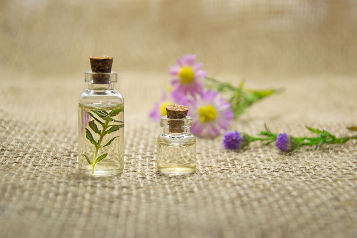 Óleos essenciais para perfumar a casa; veja as melhores opções - Fonte: canva