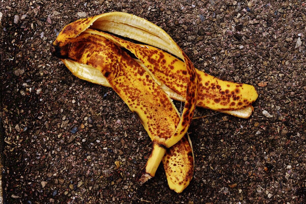 Casca da banana: descubra 3 formas de reaproveitar que muitos desconhecem, confira! - Foto: Pixabay