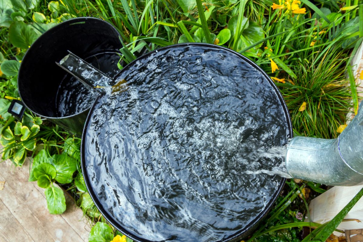 Como construir um coletor de água da chuva totalmente caseiro; veja e aprenda - Fonte: canva