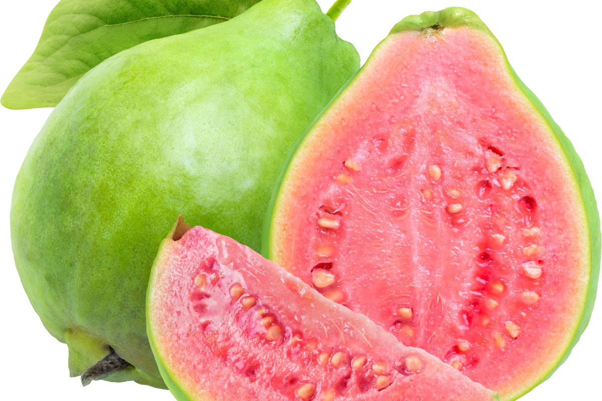 Goiaba: ótima fruta para aumentar a imunidade! Conheça seus incríveis benefícios/ Imagem: Canva