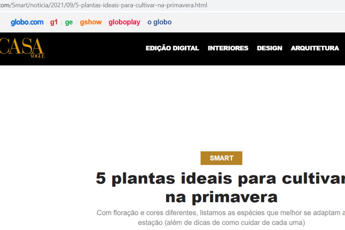 Imagem extraída do site G1/Globo