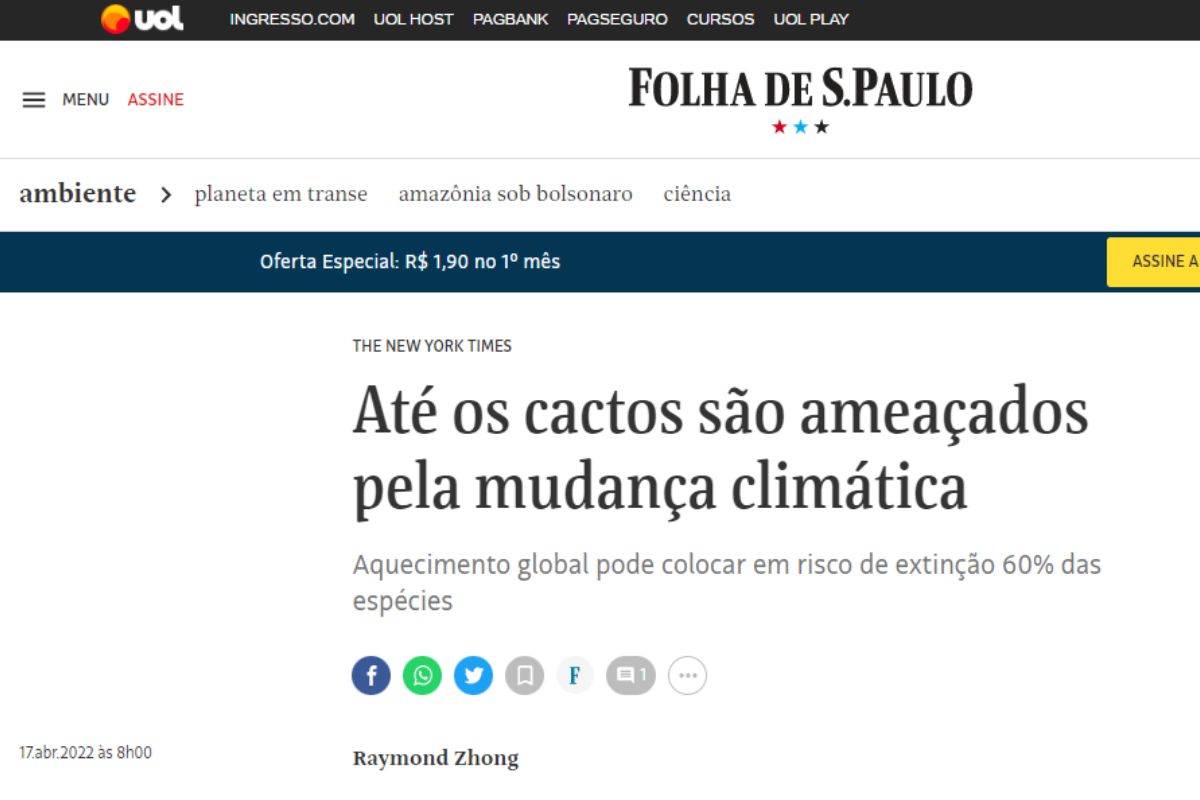 Imagem: Folha de S.Paulo