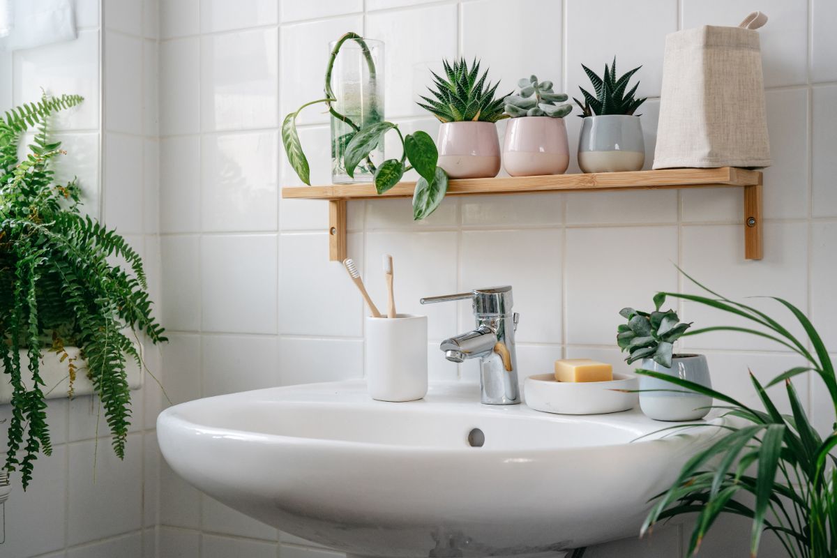 Decorar o banheiro com plantas; veja essas dicas e quais espécies utilizar na decoração - Fonte: canva