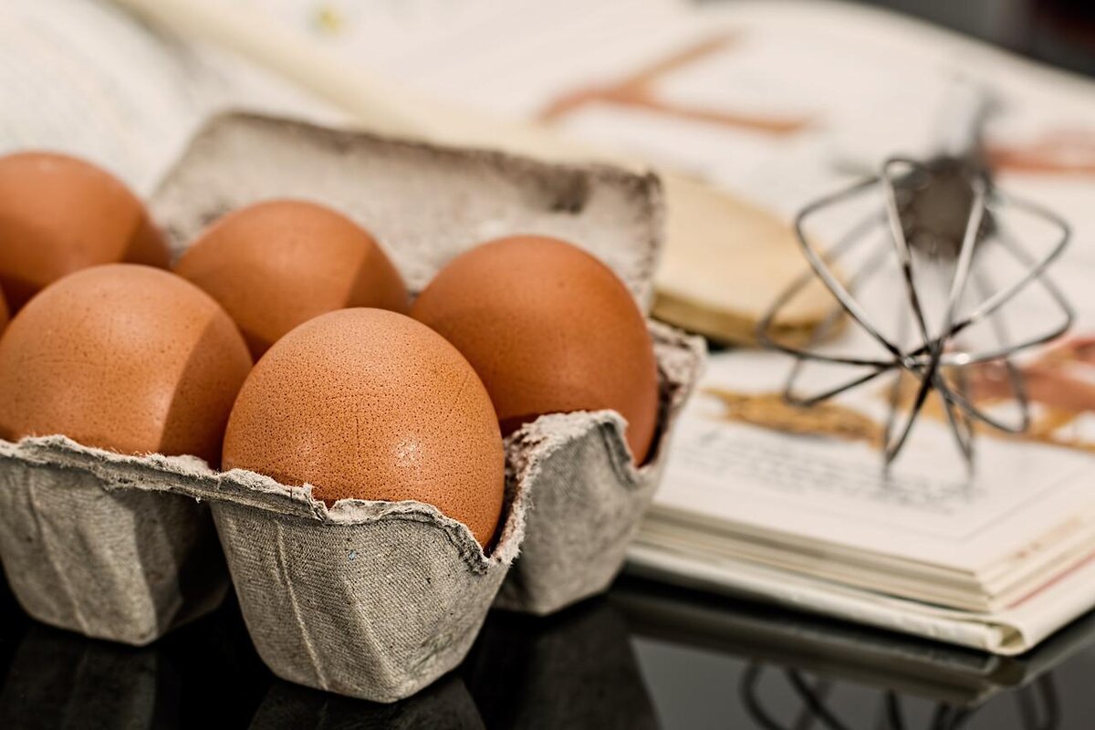 Ovos: dentro ou fora da geladeira? Veja a forma correta de guardar - Foto: Pixabay