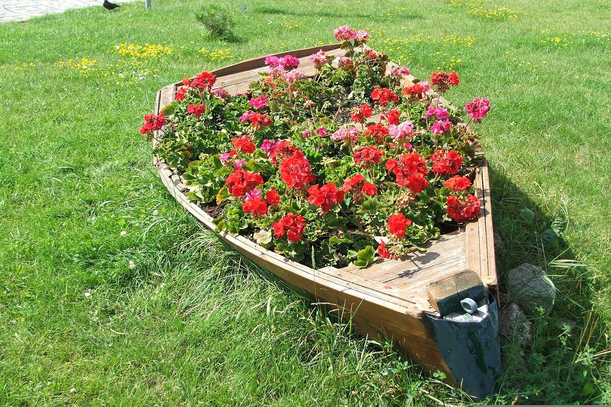 Um pequeno barco serve de jardineira - Foto: Pixabay