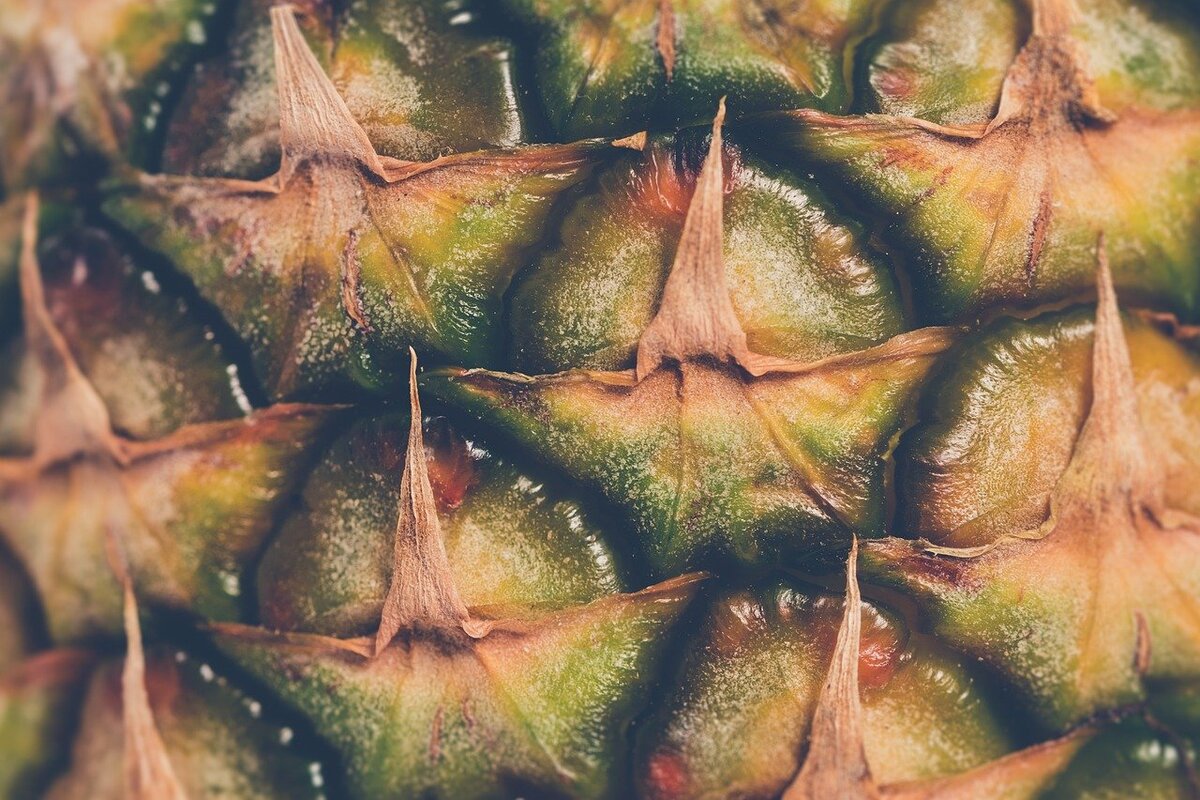 Chá de casca de abacaxi: rico em vitaminas e um ótimo aliado da saúde, confira! - Foto: Pixabay