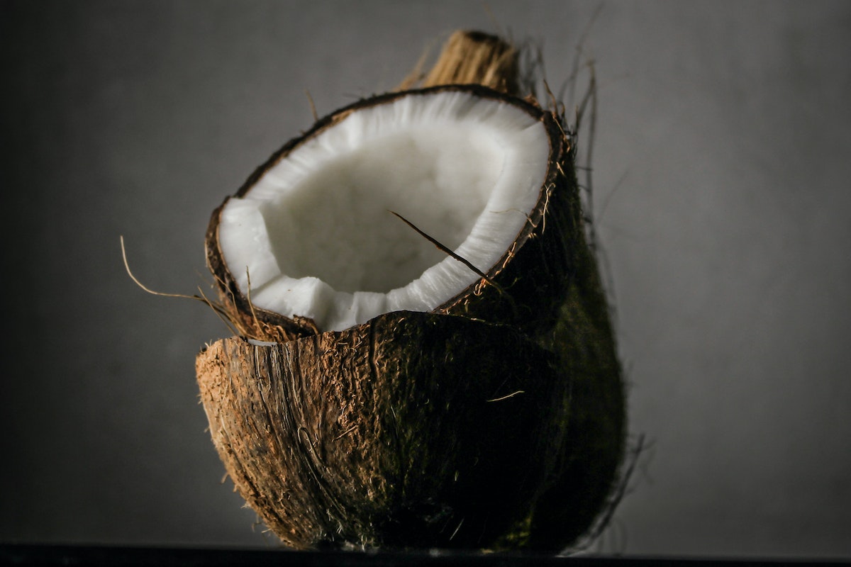 Qual a diferença entre licuri e coco? Veja os benefícios do licuri para a saúde