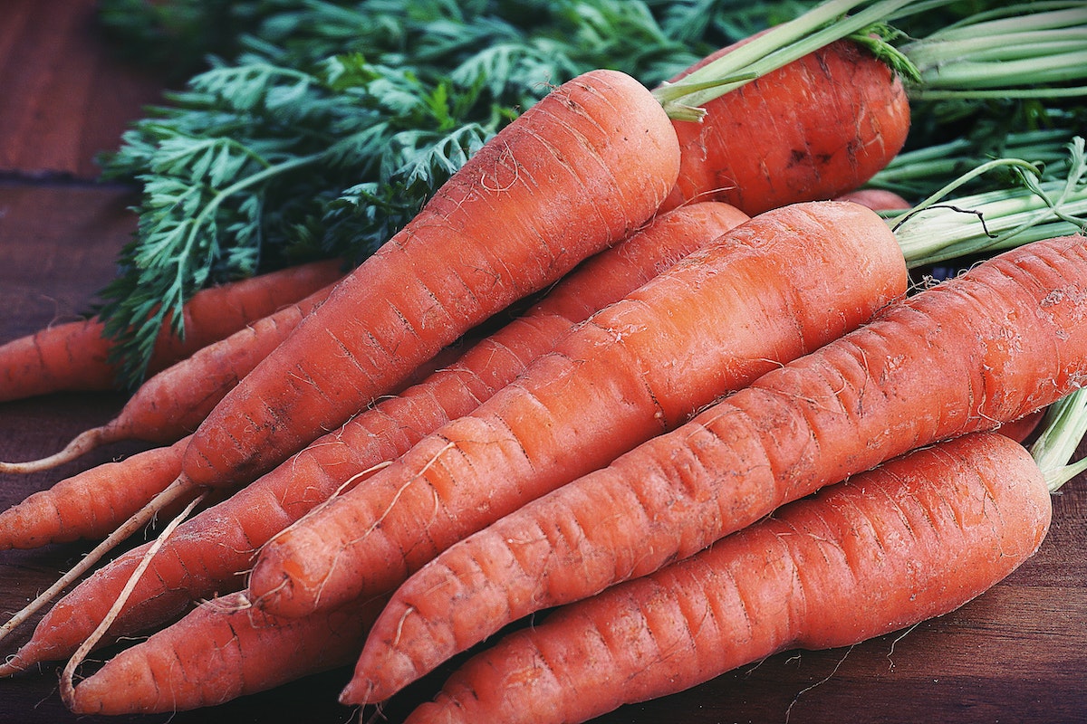 Saiba quais são os benefícios da cenoura e aprenda a plantar no seu quintal ainda hoje